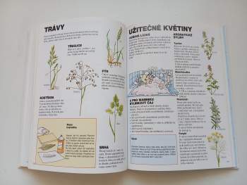 Renée Kayser: Přítel lesa