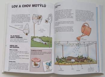 Přítel lesa : příručka pro mladé skauty