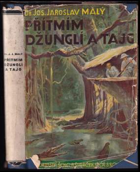 Přítmím džunglí a tajg