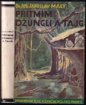 Přítmím džunglí a tajg