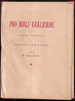 Josef Braun: Pro bibli králickou - z obrázků starohorských