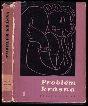 Problém krásna v současném umění a estetice