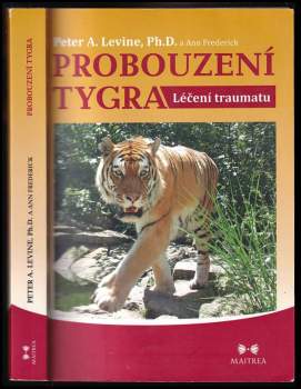 Probouzení tygra