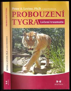 Probouzení tygra