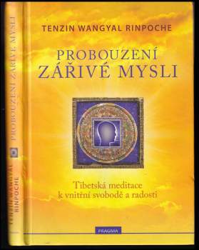 Probouzení zářivé mysli
