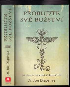 Probuďte své božství: Jak obyčejní lidé dělají neobyčejné věci