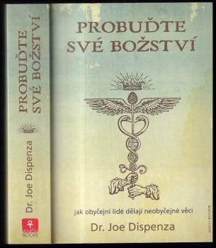 Probuďte své božství : jak obyčejní lidé dělají neobyčejné věci