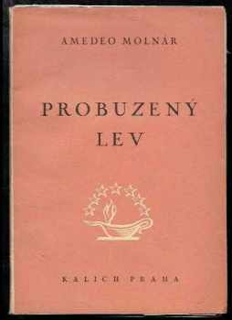 Probuzený lev