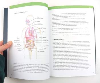 Jarmila Klímová: Proč (a jak) psychosomatika funguje?