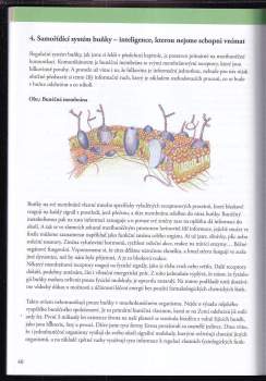Jarmila Klímová: Proč (a jak) psychosomatika funguje?