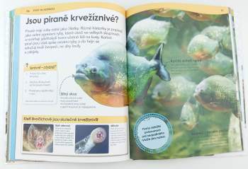 Derek Harvey: Proč?