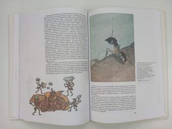 Jan Ždářek: Proč vosy, včely, čmeláci, mravenci a termiti-?, aneb, Hmyzí státy