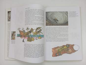 Jan Ždářek: Proč vosy, včely, čmeláci, mravenci a termiti-?, aneb, Hmyzí státy