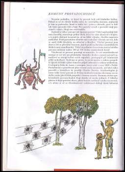 Jan Ždářek: Proč vosy, včely, čmeláci, mravenci a termiti-?, aneb, Hmyzí státy