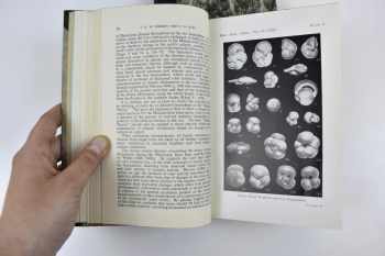 Proceedings of the Geologists Association, č. 61 a 62.