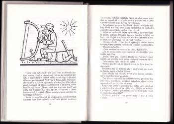 Jaroslav Hašek: Procházka přes hranice