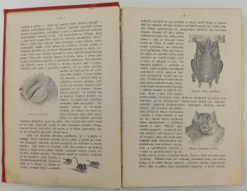 Jiří Janda: Procházky přírodou