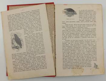 Jiří Janda: Procházky přírodou