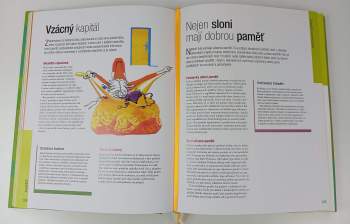 Procvičte si mozek : jak si v každém věku udržet čilou paměť