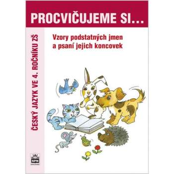 Vzory a psaní koncovek podstatných jmen