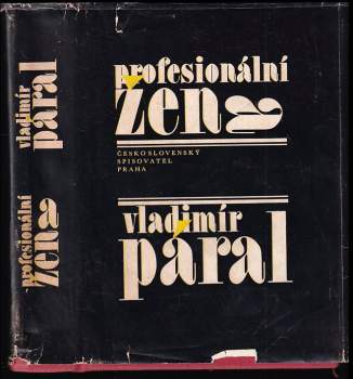 Profesionální žena : román pro každého