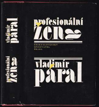 Profesionální žena