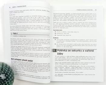 David Thomas: Programátor pragmatik