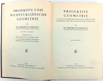 Friedrich Schilling: Projektive und nichteuklidische Geometrie