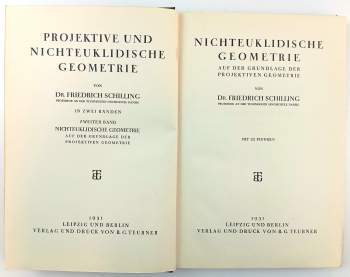 Friedrich Schilling: Projektive und nichteuklidische Geometrie