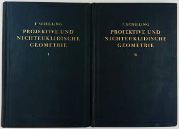 Projektive und nichteuklidische Geometrie