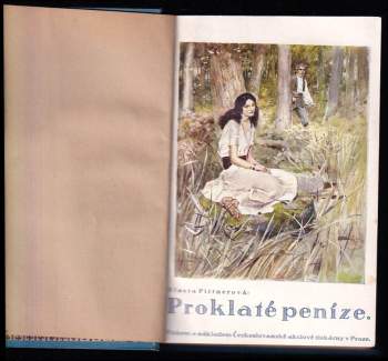 Vlasta Pittnerová: Proklaté peníze