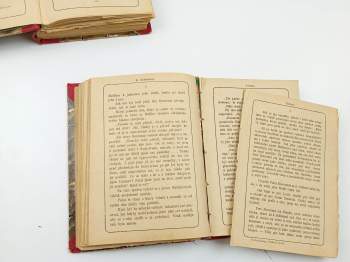 Émile Richebourg: Prokletá