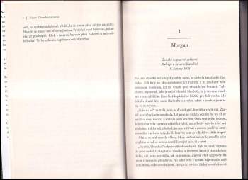 Diane Chamberlain: Prolhané městečko