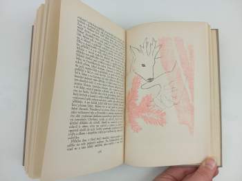 Felix Timmermans: Prosťáček Boží