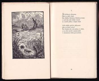 Jan Neruda: Prosté motivy
