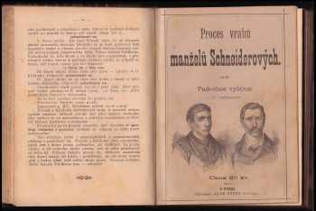 Rudolf Mrva: Politický sensační proces vrahů Rigoletta z Toskány (Rudolfa Mrvy)