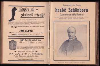 Rudolf Mrva: Politický sensační proces vrahů Rigoletta z Toskány (Rudolfa Mrvy)