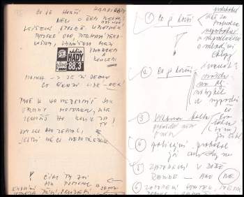 Anita Guyton: Protivráskový program