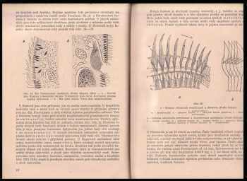 Otto Jírovec: Protozoologie