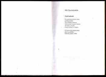 Jiří Chocholoušek: Průhledy