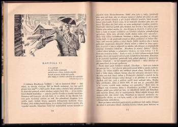 James Fenimore Cooper: Průkopníci