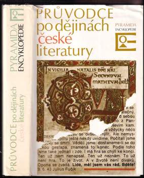 Průvodce po dějinách české literatury