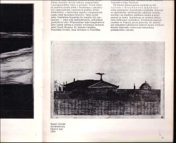 Aleš Krejča: Průvodce sběratele grafiky