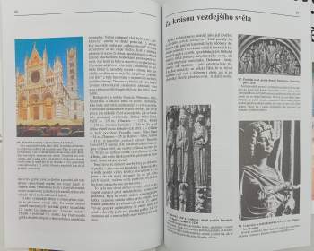 Jaroslav Blaha: Průvodce výtvarným uměním