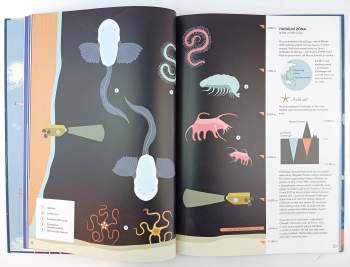 Sabrina Weiss: Průzkumník oceánu