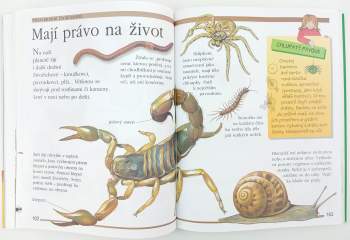 Angela Wilkes: První knížka pro malé čtenáře