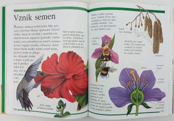 Angela Wilkes: První knížka pro malé čtenáře