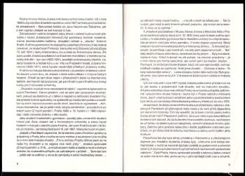 Marie Vorlíčková: První láska