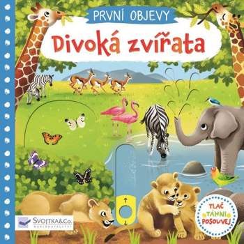 První objevy