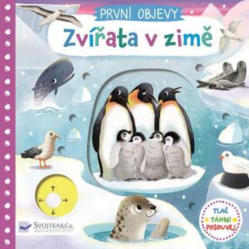 První objevy